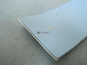 Polyester Conveyor Belt