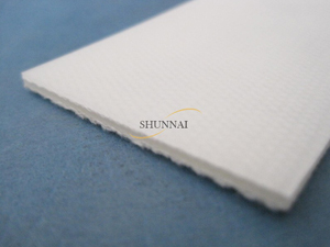 Antistatic Conveyor Belt